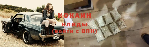 крисы Куйбышев