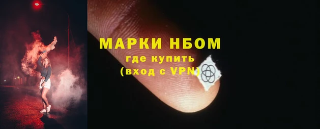 крисы Куйбышев