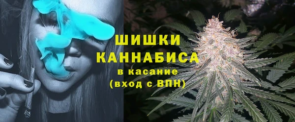 крисы Куйбышев