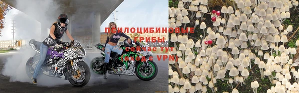 крисы Куйбышев